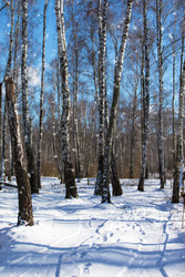 Similar image 22618874