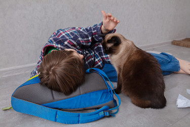 Similar image 22618877