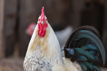 Similar image 22618878