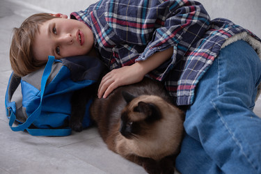 Similar image 22618879