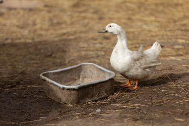 Similar image 22618882