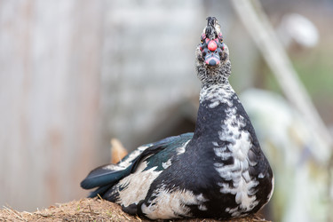 Similar image 22618892