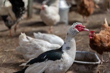 Similar image 22618906