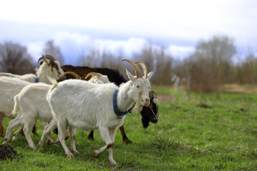 Similar image 22618790