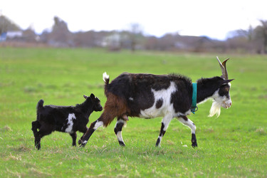 Similar image 22618811