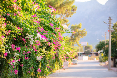 Similar image 22618816