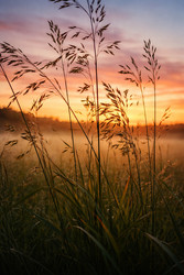 Similar image 22621154