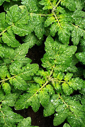 Similar image 22618182