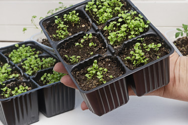 Similar image 22618296