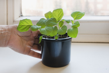 Similar image 22618297