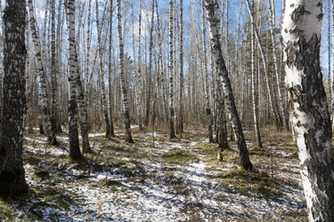 Similar image 22618313