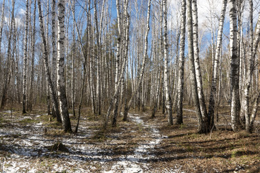 Similar image 22618315