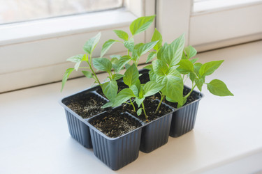 Similar image 22618316