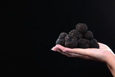 Similar image 22618563