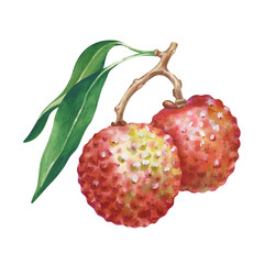 Similar image 22619691