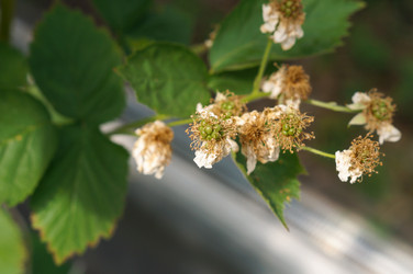 Similar image 22620615