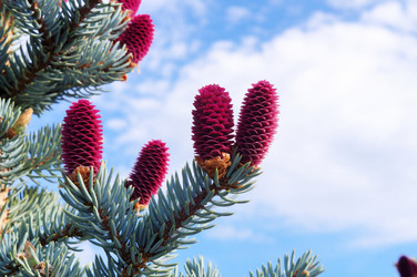 Similar image 22620616