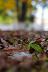 Similar image 22618145