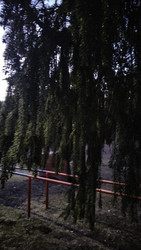 Similar image 22618284