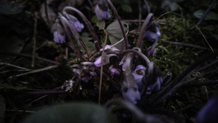 Similar image 22618286