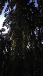 Similar image 22618298