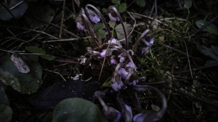 Similar image 22618299