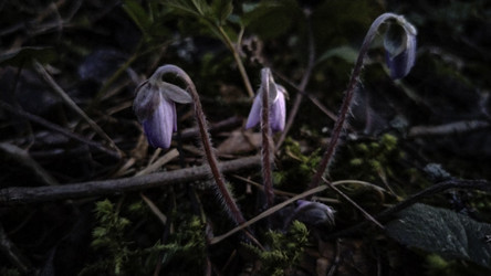 Similar image 22618300