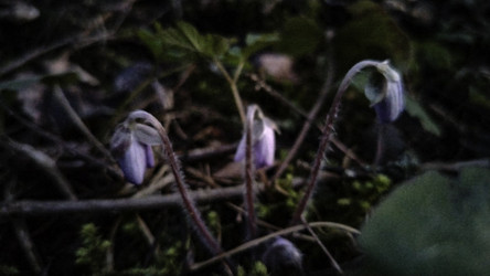 Similar image 22618301