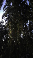 Similar image 22618302