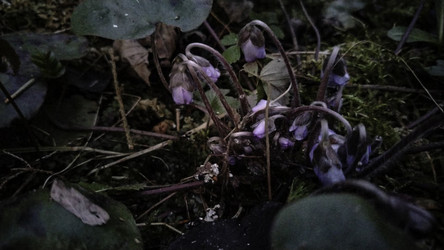 Similar image 22618303