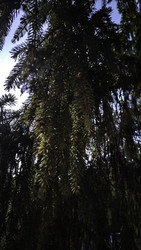 Similar image 22618304