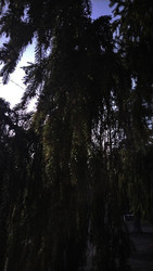 Similar image 22618305