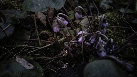 Similar image 22618306