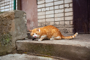 Similar image 22618146