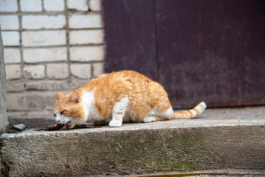 Similar image 22618148