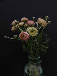 Similar image 22618149