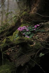 Similar image 22618150