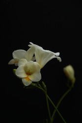 Similar image 22618151