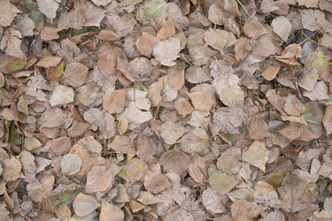 Similar image 22618132