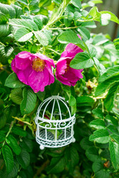 Similar image 22618453