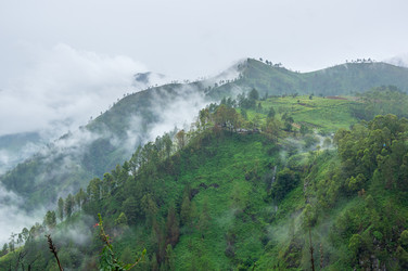 Similar image 22619492