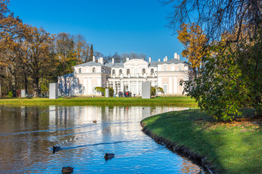 Similar image 22619499