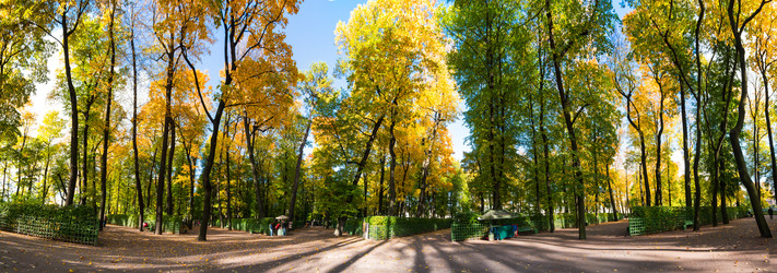 Similar image 22619503