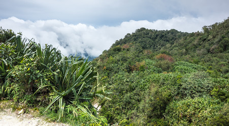 Similar image 22619507