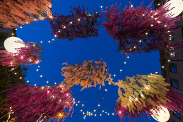 Similar image 22619515