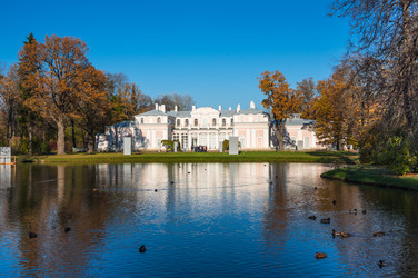 Similar image 22619745