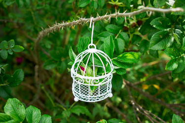 Similar image 22618455