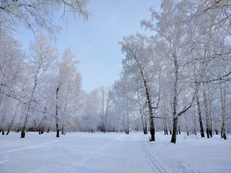 Similar image 22621522