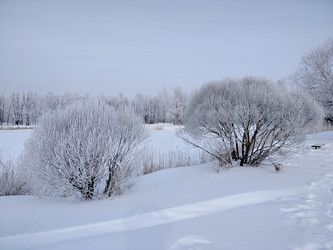 Similar image 22621525