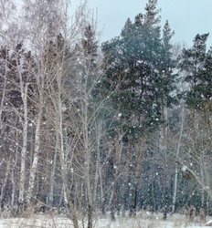 Similar image 22621529